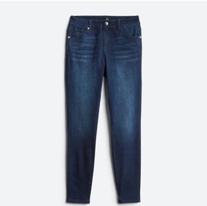 1822 Denim Aria Sculpting Skinny Jean